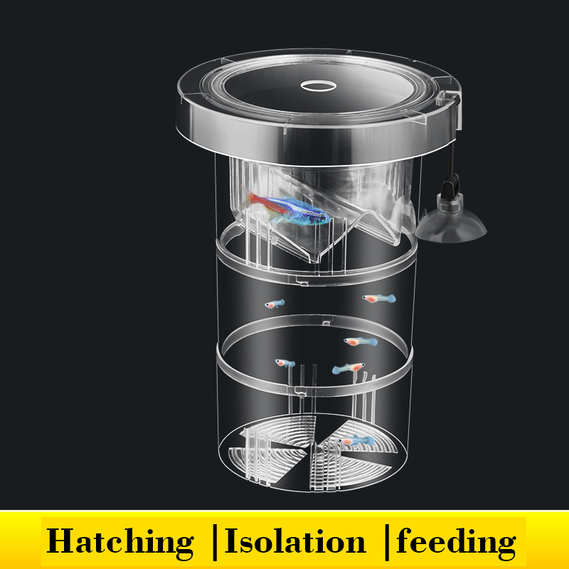 Aquarium Fish Betta - Caja de aislamiento flotante para cría
