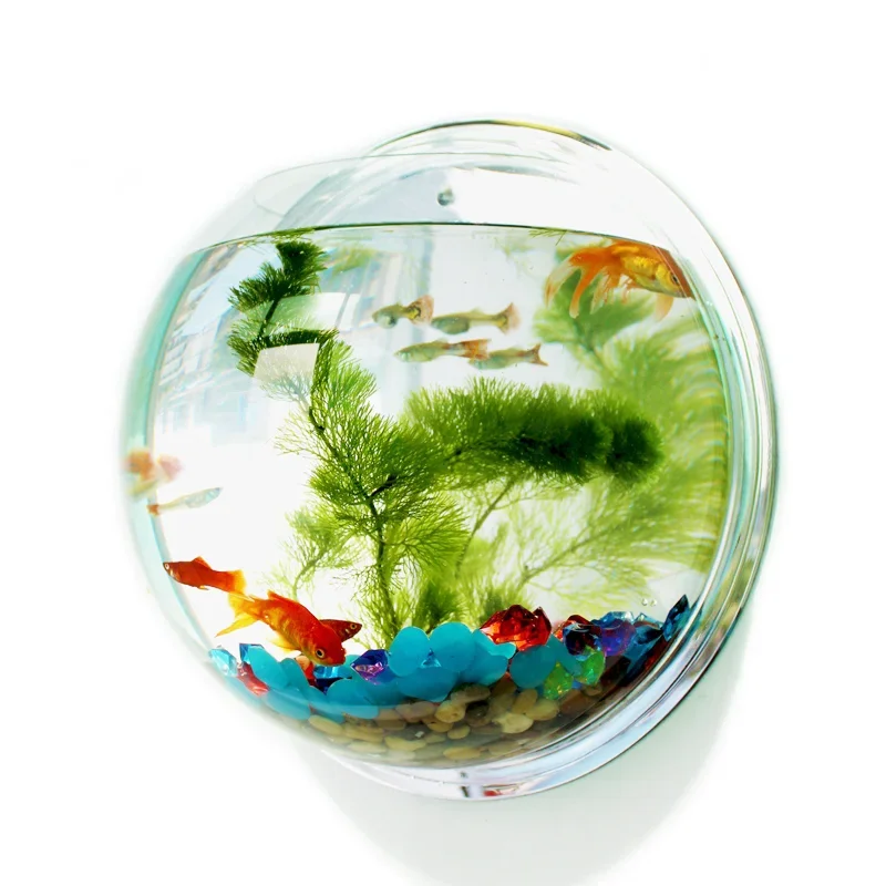 Aquarium Fish Betta - Pinsjar-cuenco de pescado acrílico para colgar