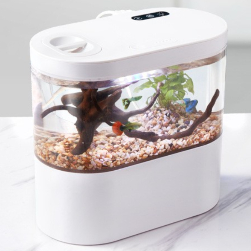 Aquarium Fish Betta - Mini Acuario de Escritorio Creativo con