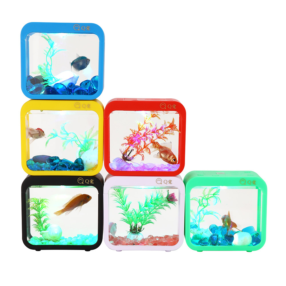 Caja Betta creativa colorida c - Aquarium Fish Betta reseña y precio