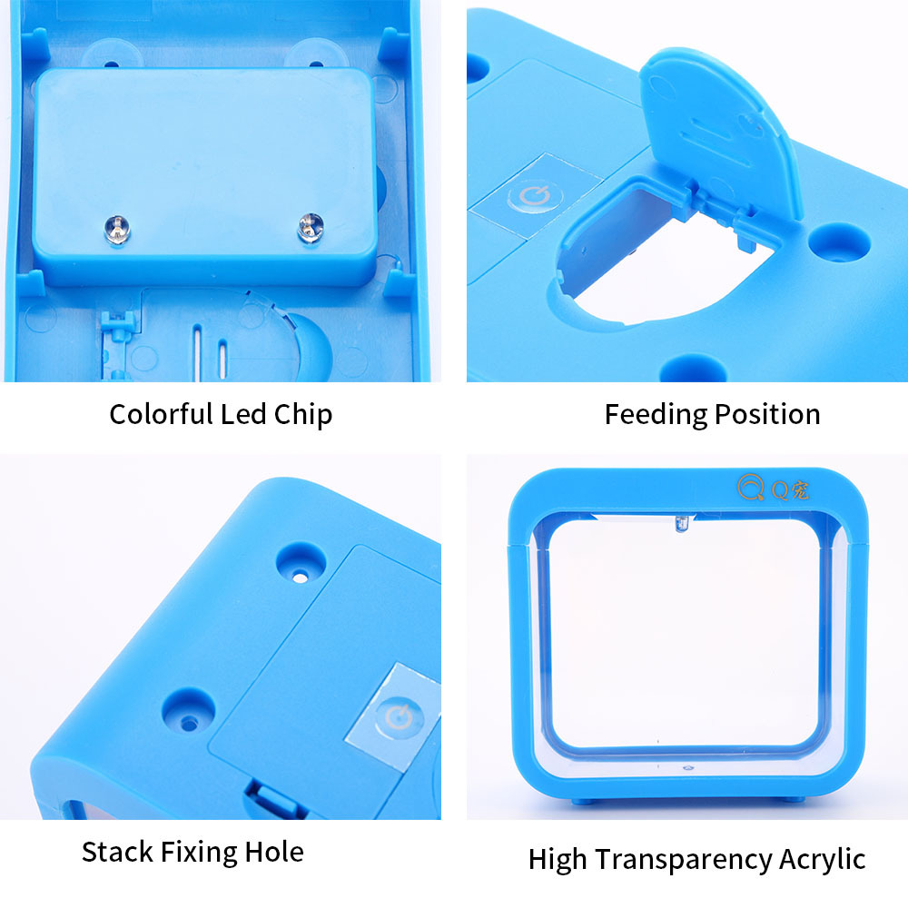 Caja Betta creativa colorida c - Aquarium Fish Betta reseña y precio