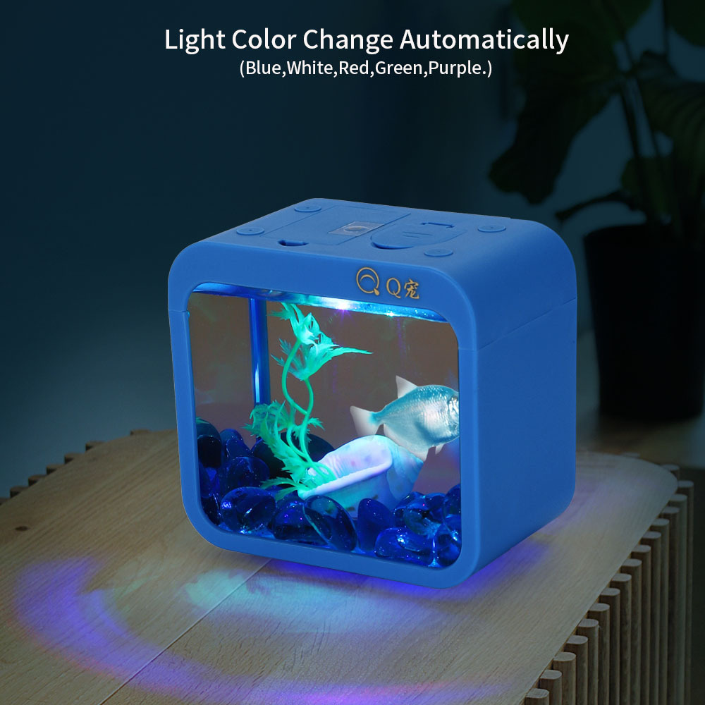 Caja Betta creativa colorida c - Aquarium Fish Betta reseña y precio