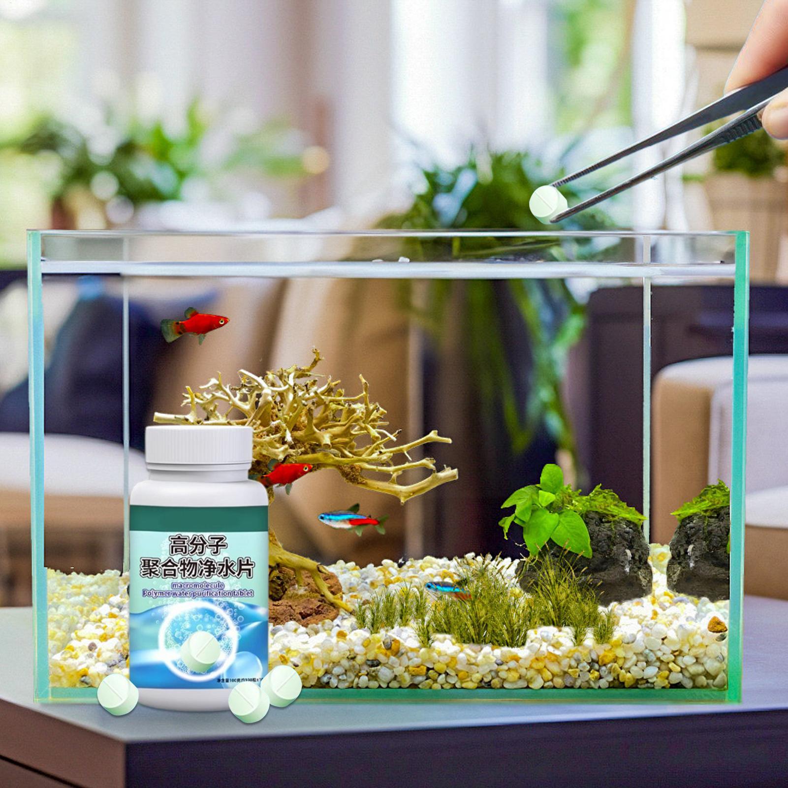 Removedor de algas para peces, - Aquarium Fish Betta reseña y precio