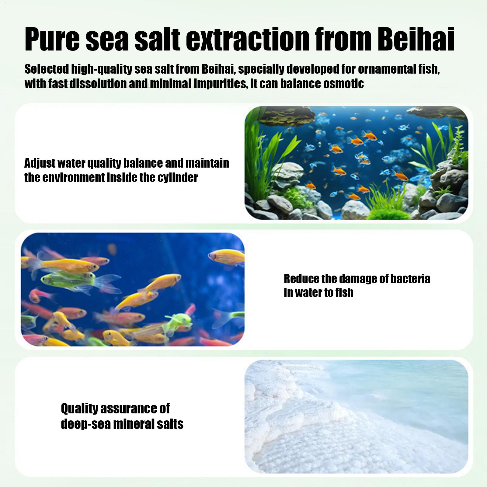 Removedor de algas para peces, - Aquarium Fish Betta reseña y precio