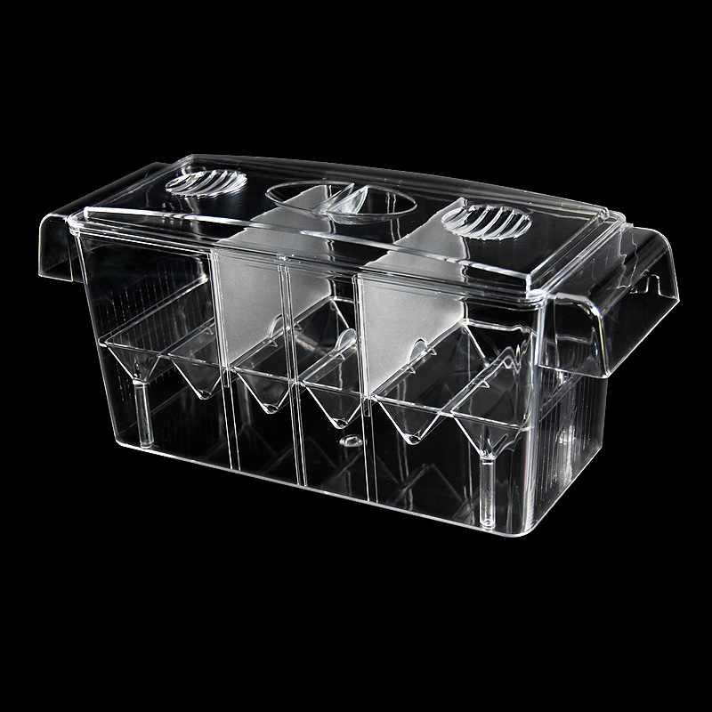 Caja de aislamiento transparen - Aquarium Fish Betta reseña y precio