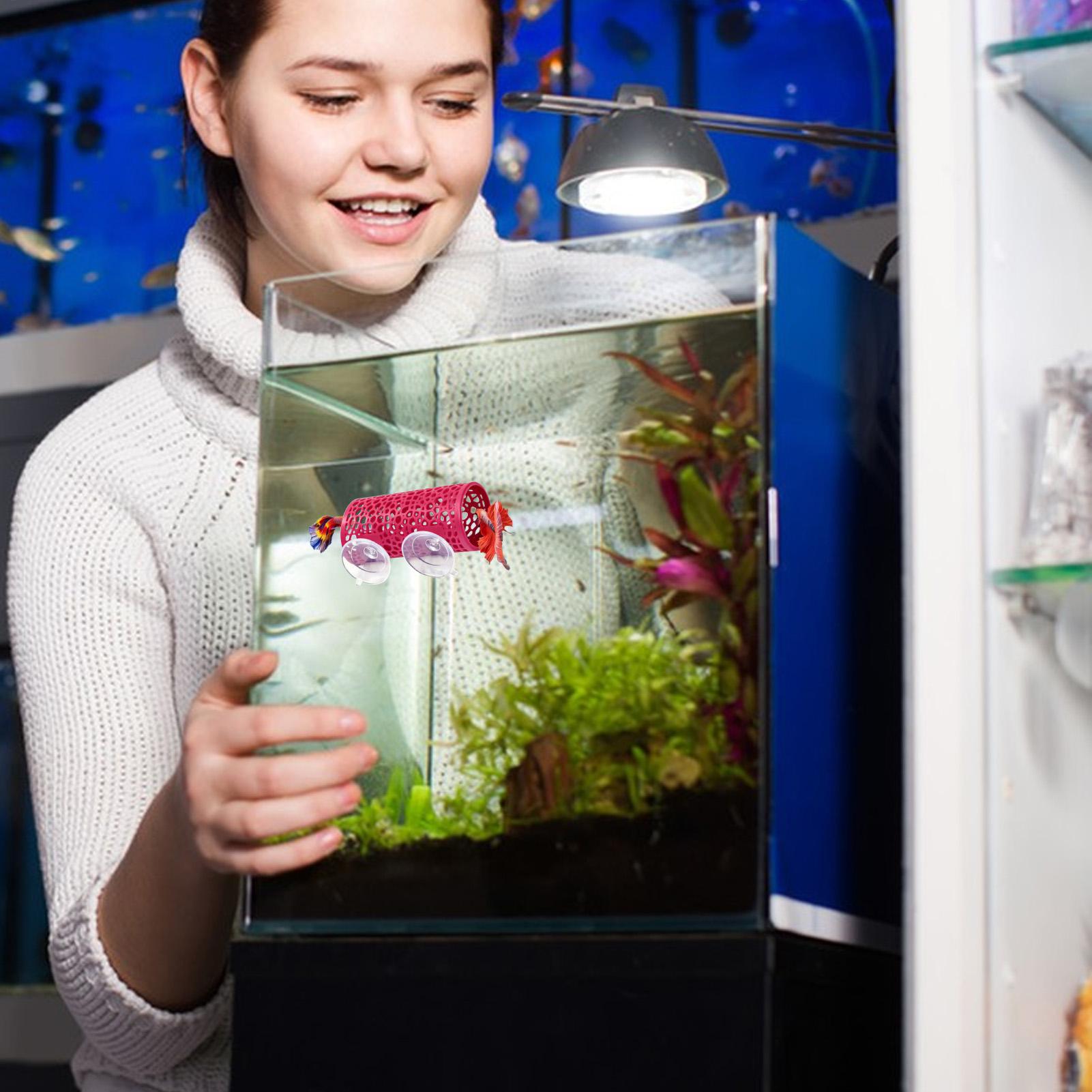 Habitat para Bettas, Refugio,  - Aquarium Fish Betta reseña y precio