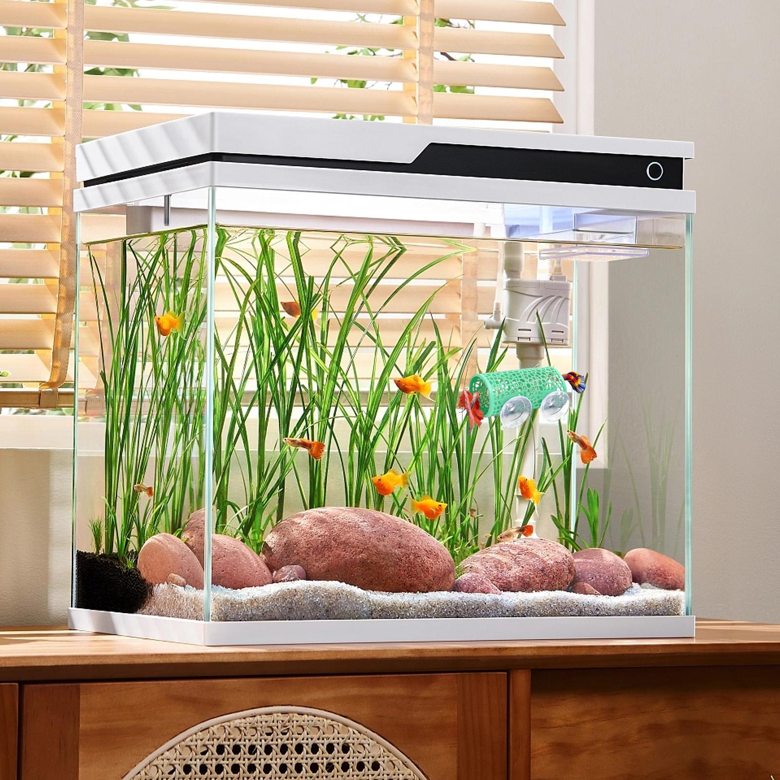 Habitat para Bettas, Refugio,  - Aquarium Fish Betta reseña y precio