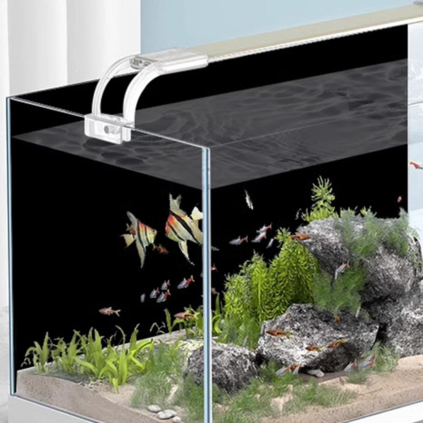 Fondo para Acuario, Vinilo Adh - Aquarium Fish Live Wallpaper reseña y precio