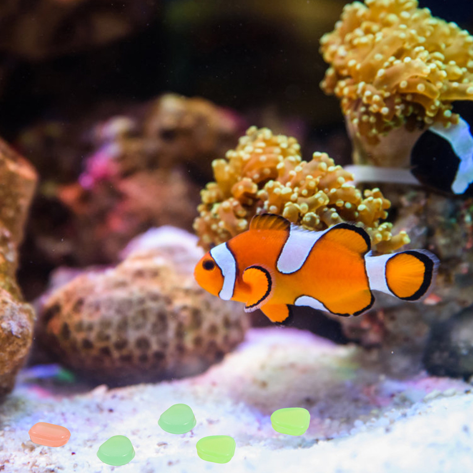 400 piezas de guijarros lumini - Aquarium Fish That Glow In The Dark reseña y precio