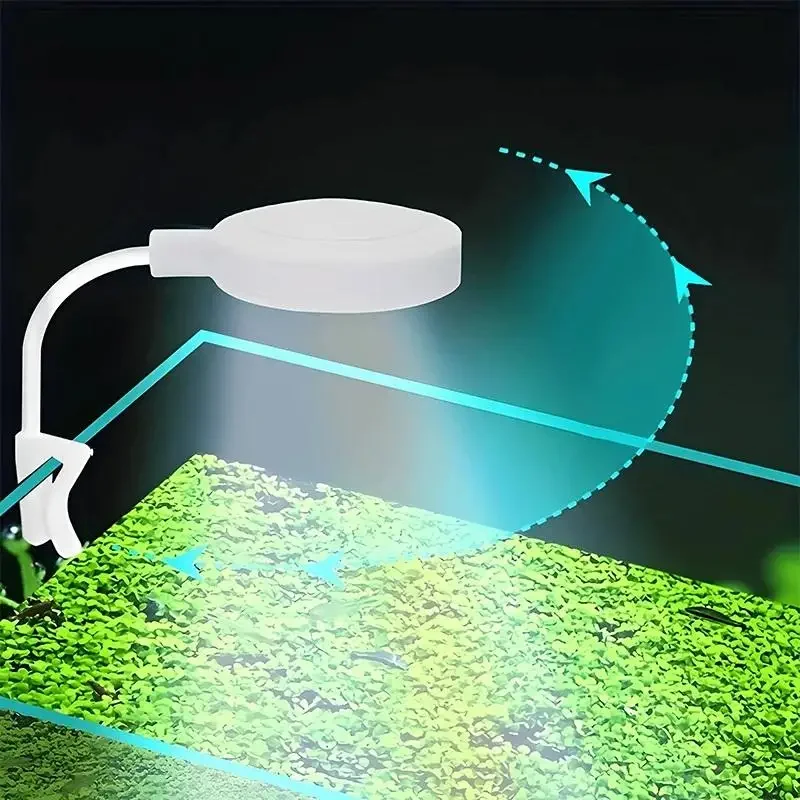 Luz de acuario con adaptador L - Aquarium Fish House reseña y precio