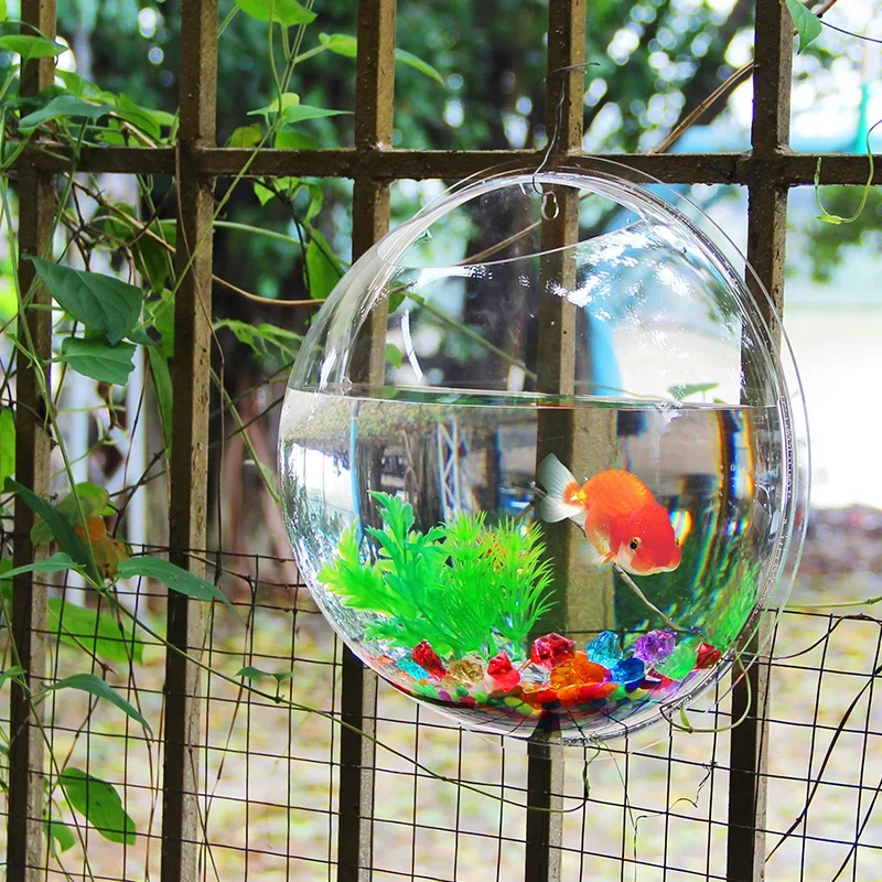 Pinsjar-cuenco de pescado acrí - Aquarium Fish Betta reseña y precio