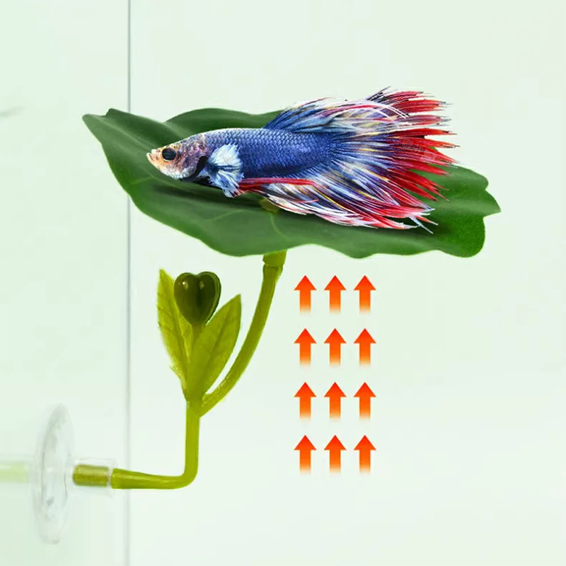 (Ce14) 1/5PC Hamaca de hojas v - Aquarium Fish Betta reseña y precio
