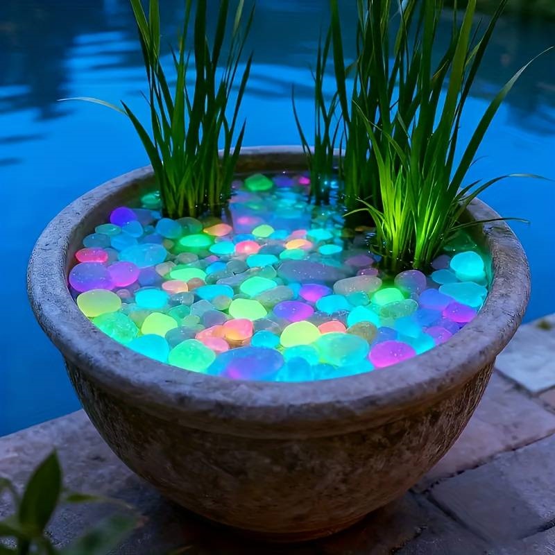200 piezas de piedras brillant - Aquarium Fish That Glow In The Dark reseña y precio
