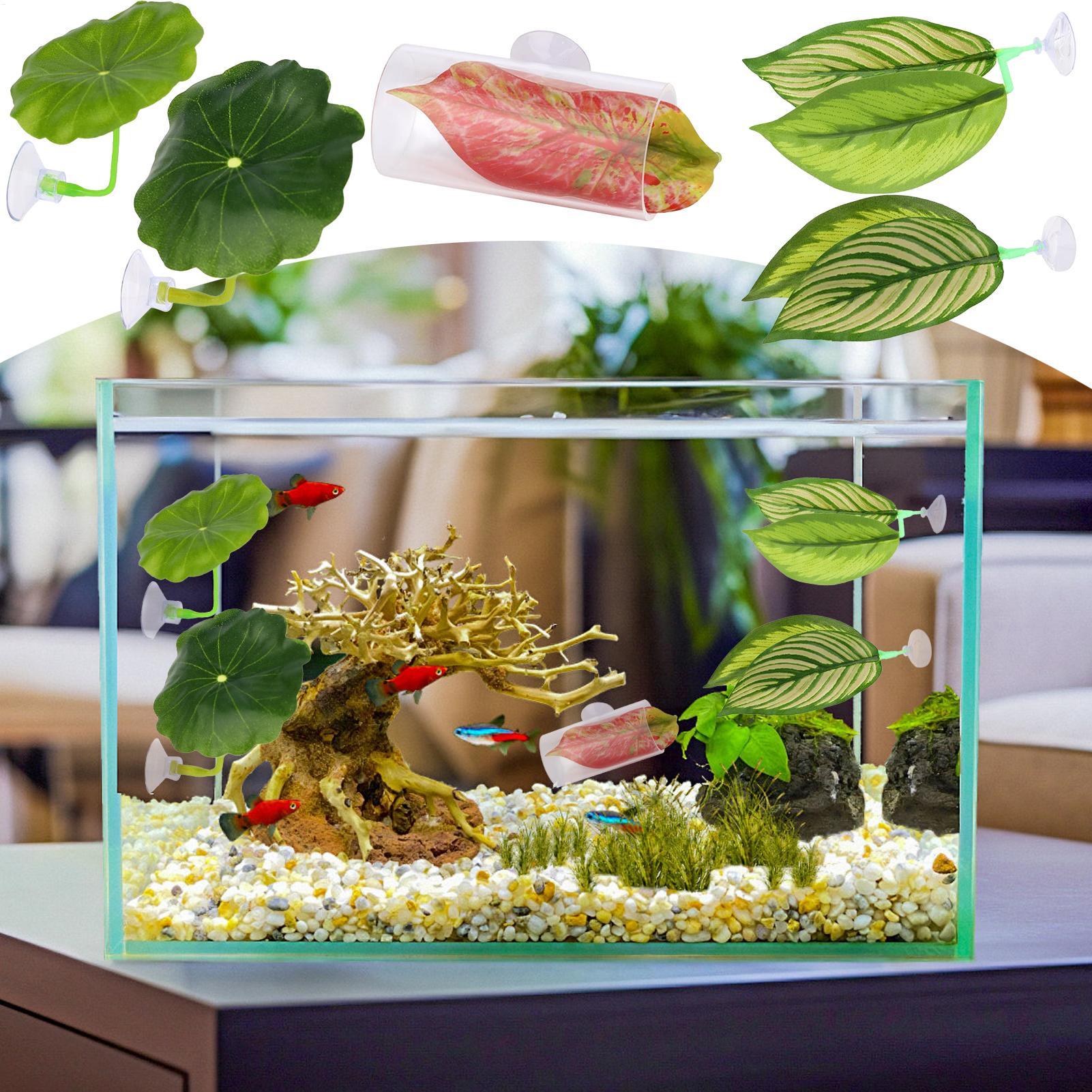 Hamaca de pescado Betta, 5 pie - Aquarium Fish Betta reseña y precio