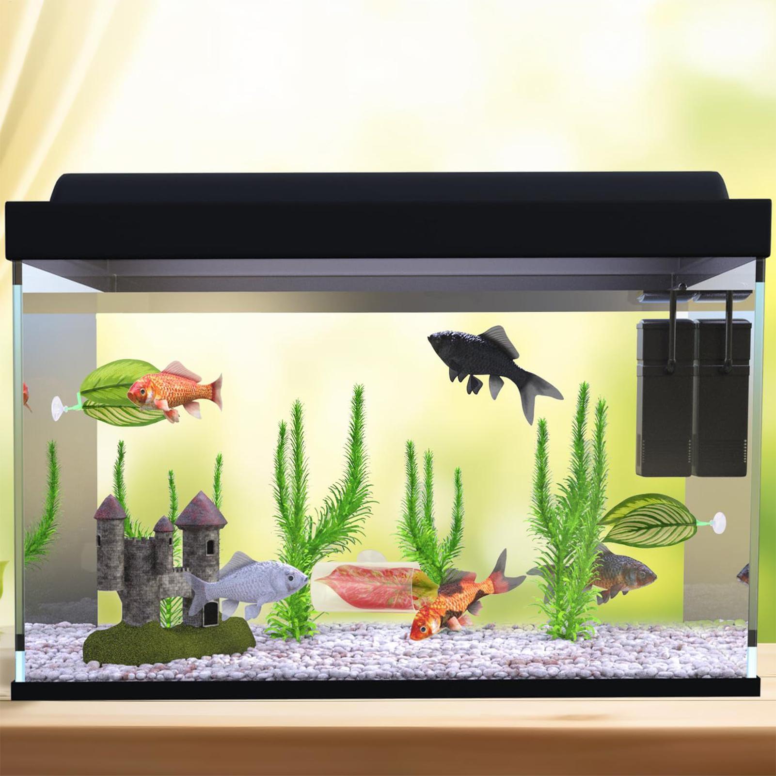 Hamaca de pescado Betta, 5 pie - Aquarium Fish Betta reseña y precio
