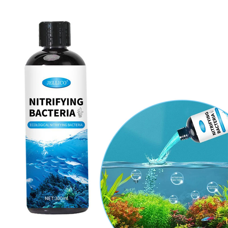 Purificador de agua para pecer - Aquarium Fish House reseña y precio