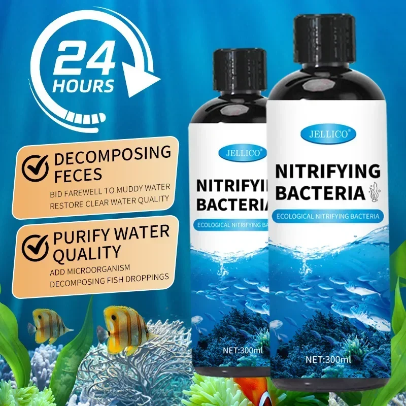 Purificador de agua para pecer - Aquarium Fish House reseña y precio