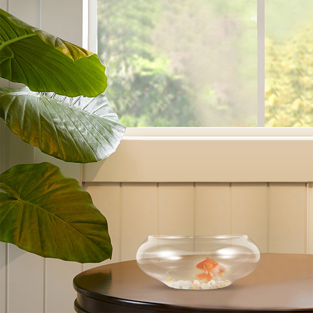 2 unidades de tazón transparen - Aquarium Fish Betta reseña y precio