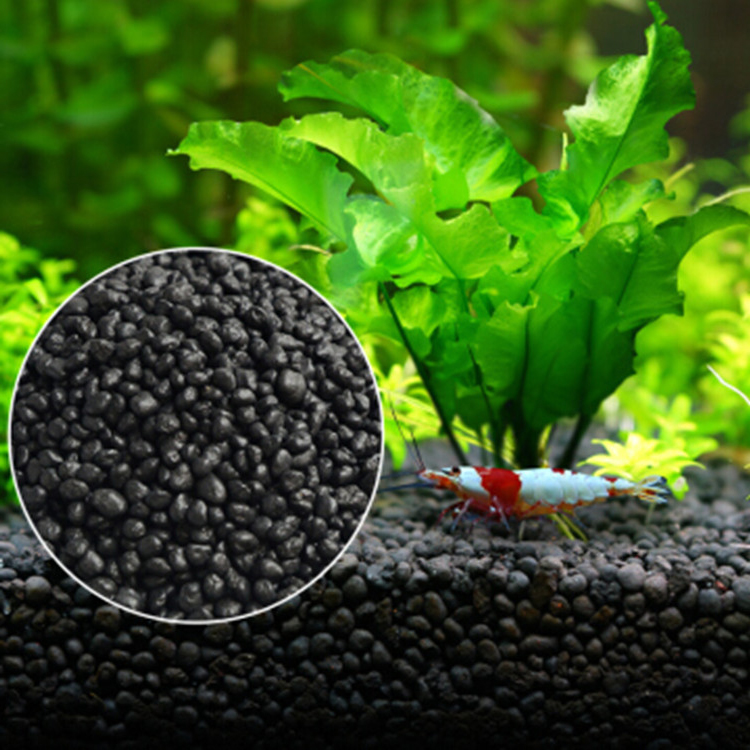 Semillas de plantas de Acuario - Aquarium Fish House reseña y precio