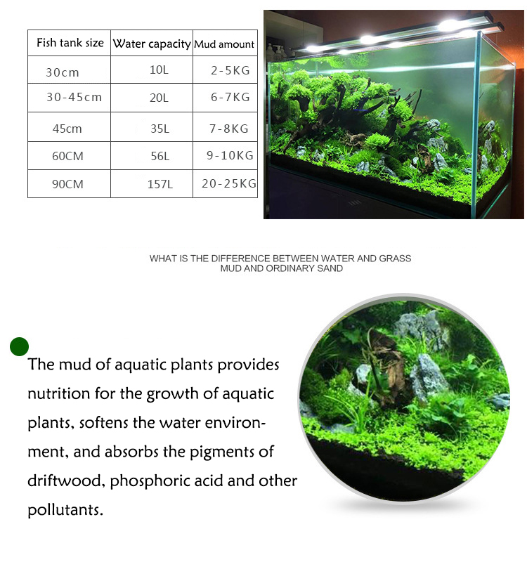 Semillas de plantas de Acuario - Aquarium Fish House reseña y precio