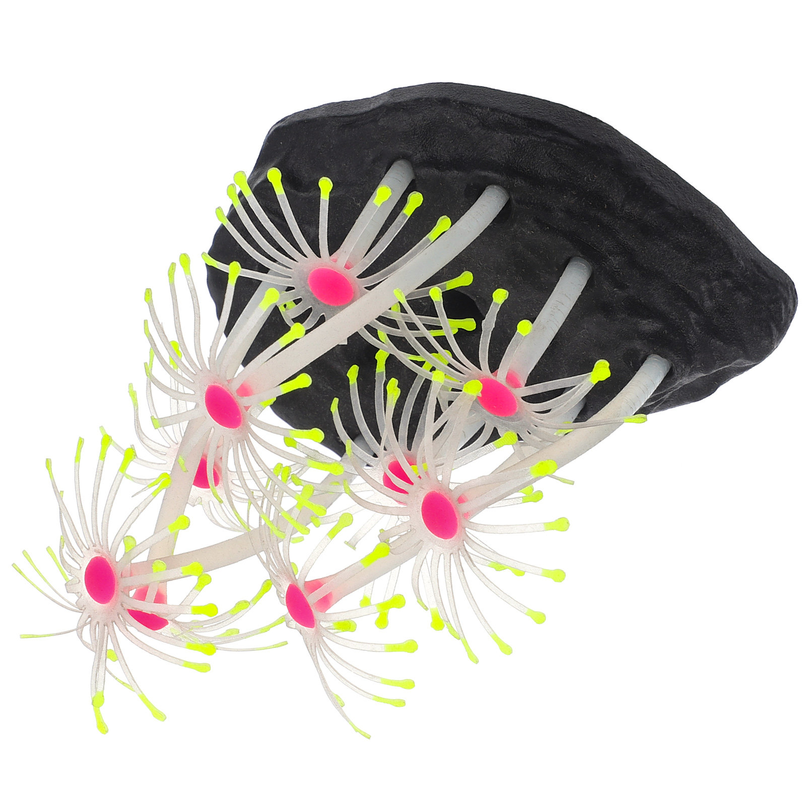 Decoración para acuarios con f - Aquarium Fish That Glow In The Dark reseña y precio