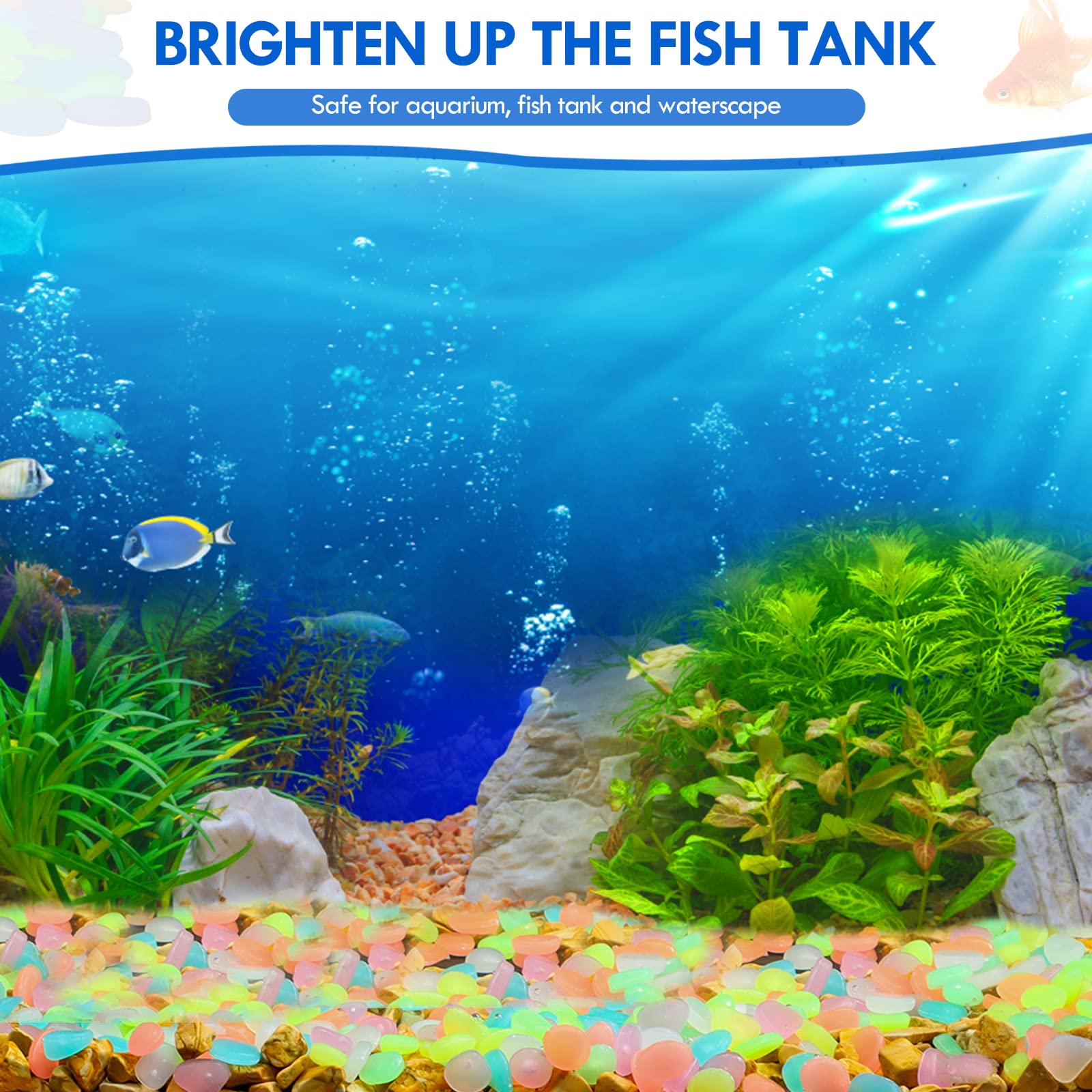100 Uds. De guijarros que bril - Aquarium Fish That Glow In The Dark reseña y precio