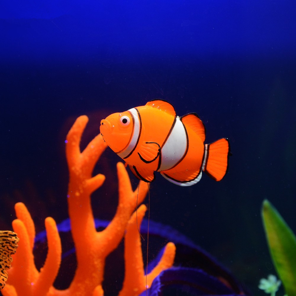 Adorno Luminoso de Silicona pa - Aquarium Fish That Glow In The Dark reseña y precio