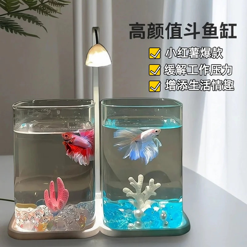 Mini acuario de escritorio con - Aquarium Fish Betta reseña y precio