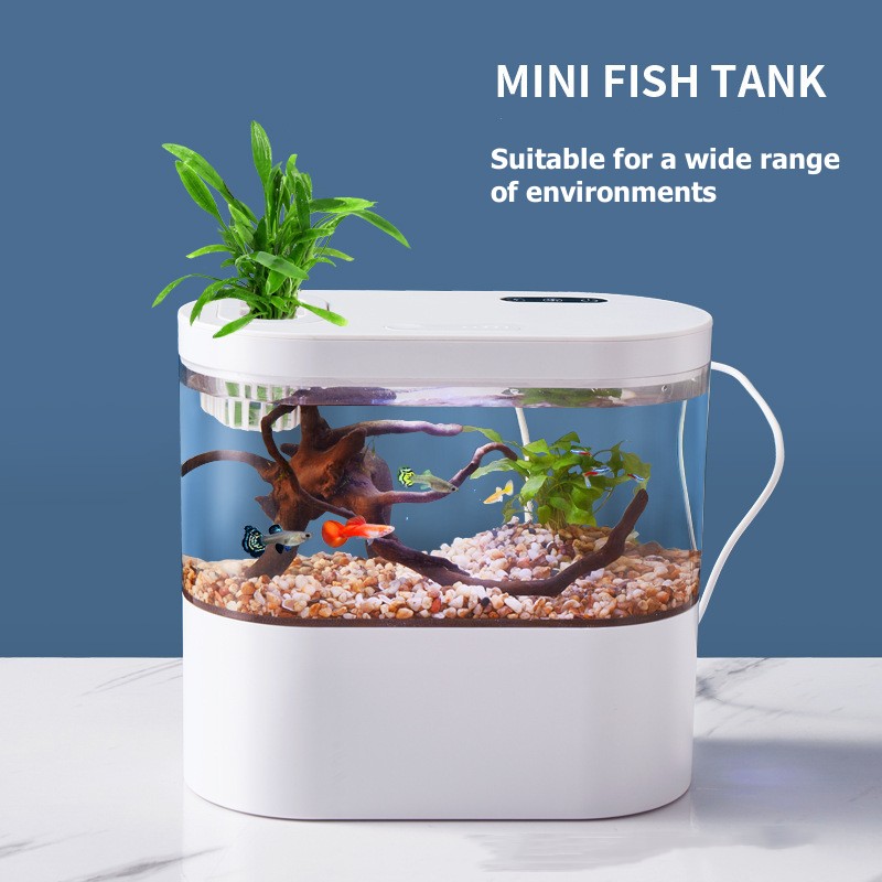 Mini Acuario de Escritorio Cre - Aquarium Fish Betta reseña y precio