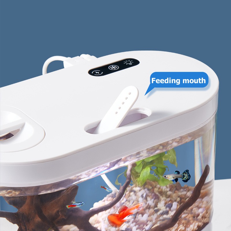 Mini Acuario de Escritorio Cre - Aquarium Fish Betta reseña y precio