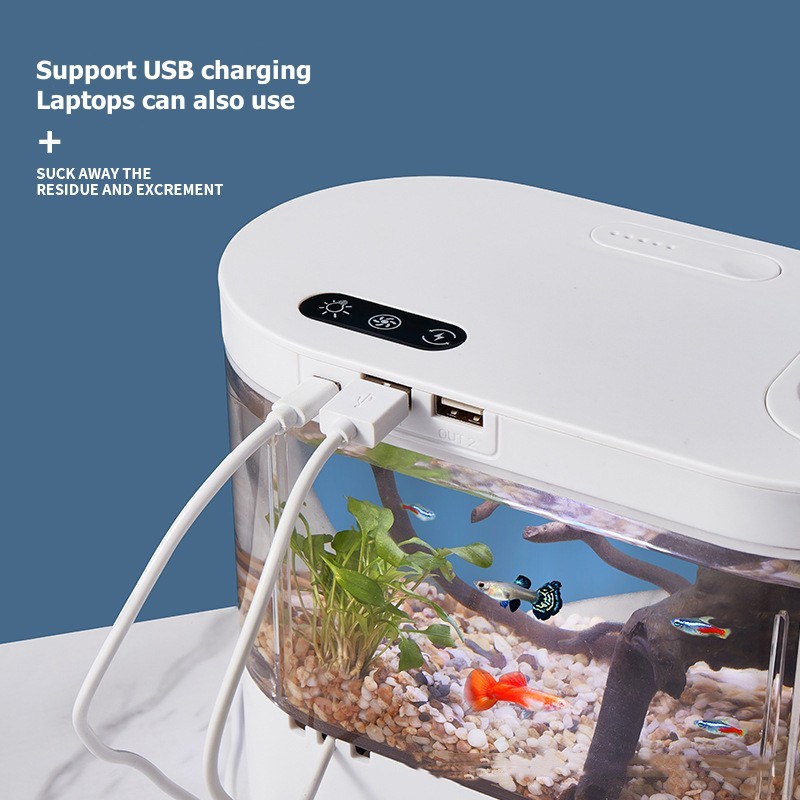 Mini Acuario de Escritorio Cre - Aquarium Fish Betta reseña y precio