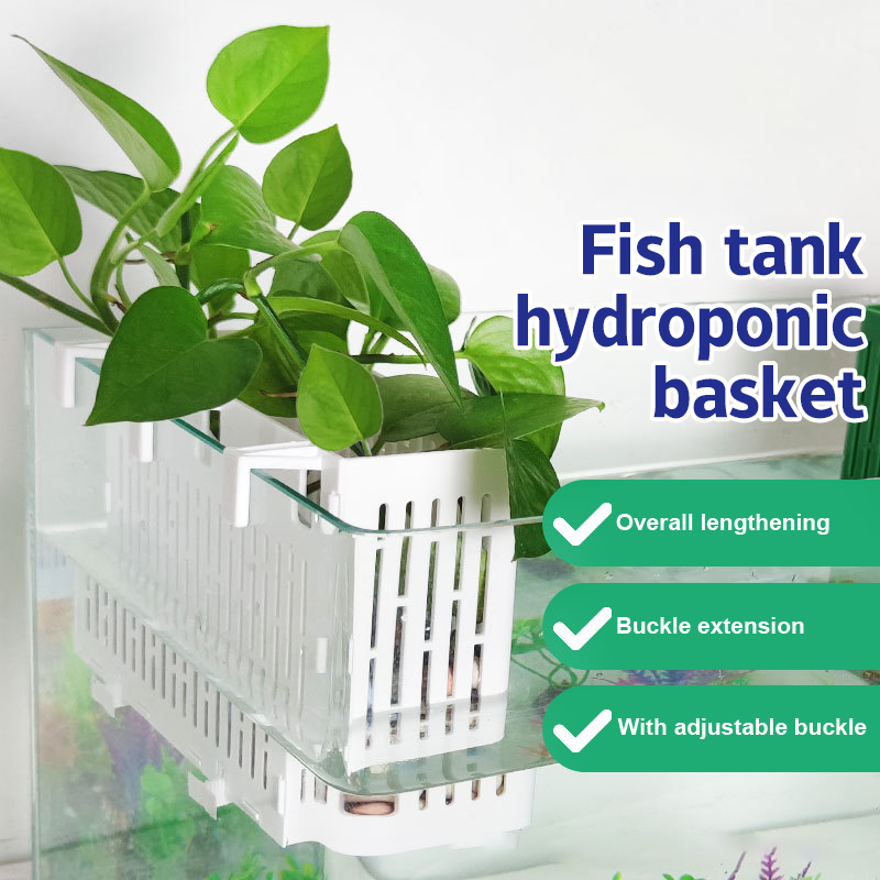 【F】Maceta colgante para acuari - Aquarium Fish House reseña y precio