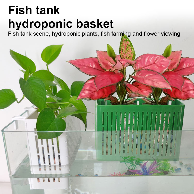 【F】Maceta colgante para acuari - Aquarium Fish House reseña y precio